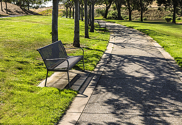 포토 JPG 해외이미지 나무 계절 공원 벤치 의자 자연 풍경 사람없음 야외 햇빛 평화 우주 침묵 나뭇가지 고독 버리기 장면 해외202004 해외포토 식물 공공시설 감정 가구 컨셉 모션 태양 소리 생태계 파일형식 이미지허브