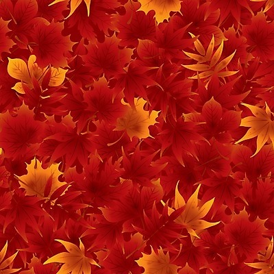 EPS 해외이미지 디자인 단풍 잎 패턴 오렌지 일러스트 자연 추상 장식 빨간색 노란색 가을 흙더미 해외202004 해외일러스트 식물 계절 컬러 무늬 과일 흙 생태계 파일형식 벡터 더미 이미지허브