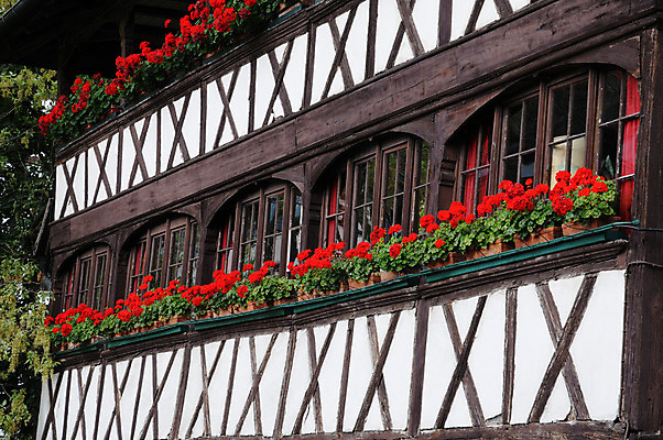 포토 JPG 해외이미지 건축양식 주택 풍경 사람없음 건물 프랑스 역사 그림 옛날 스트라스부르 해외202004 해외포토 건축물 건축 유럽 파일형식 이미지허브