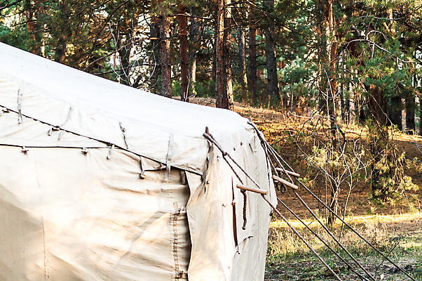 포토 JPG 해외이미지 나무 공원 여행 밭 자연 아침 모바일 휴가 휴식 텐트 사람없음 야외 초록색 빛 태양 환경 시골 소나무 황무지 숲 탈출 캠핑장 군용 캔버스 장면 주말 변장 내추럴 전국 차양 생존 해외202004 해외포토 주간 자연요소 식물 공공시설 컬러 컨셉 농업 군대 캠핑도구 캠핑 생태계 파일형식 이미지허브