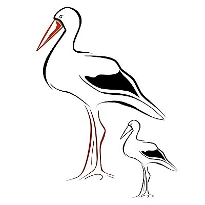 EPS 해외이미지 동물 캐릭터 야생동물 패턴 날개 일러스트 조류 미술 그래픽 검은색 흰색 큼 만화 스케치 그림 클립 부리 고립 황새 해외202004 해외일러스트 일러캐릭터 컬러 무늬 문화예술 크기 파일형식 벡터 이미지허브