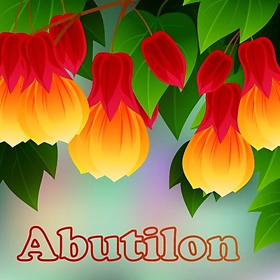 EPS 해외이미지 식물 꽃 단풍 일러스트 빨간색 초록색 미국 중국 봄 등불 개화 열대우림 인도인 정맥 남쪽 아르헨티나 10월 아욱 해외202004 해외일러스트 외국인 계절 아시아 컬러 잎 북아메리카 조명 동양인 날짜 남아메리카 숲 방향 혈관 파일형식 벡터 이미지허브