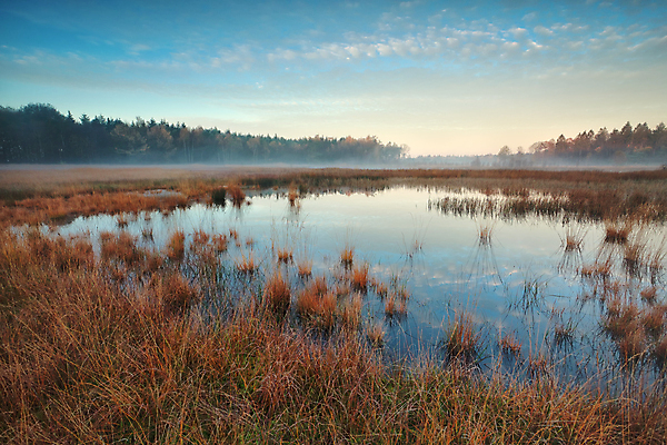 포토 JPG 해외이미지 계절 호수 자연 하늘 표면 아침 풍경 사람없음 야외 물 파란색 반사 일출 침묵 안개 가을 시골 황금 숲 네덜란드 변소 해외202004 해외포토 주간 자연요소 유럽 컬러 날씨 노을 소리 생태계 파일형식 이미지허브