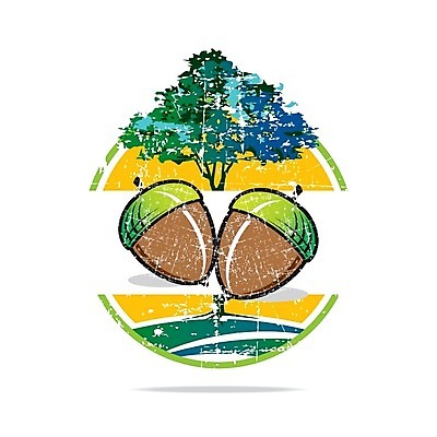 EPS 해외이미지 나무 식물 계절 음식 잎 다이어트 과일 일러스트 추상 아이스크림 바닥 건조 건강 씨앗 사람없음 초록색 웹 침묵 껍질 신선 맛 굽기 먹기 날것 향기 호두 건강식 내추럴 바이오 영양분 채식주의자 피스타치오 핵심 활자 개암 해외202004 해외일러스트 열매 컬러 컨셉 무늬 인터넷 모션 디저트 소리 견과류 구이 채식 냄새 활자판 파일형식 벡터 이미지허브