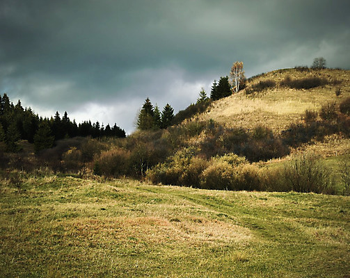 포토 JPG 해외이미지 나무 구름 여행 단풍 겨울 자연 날씨 그림자 풍경 사람없음 여름 환경 어둠 슬픔 안개 가을 숲 신비 무서움 땅 언덕 장면 마법 내추럴 깊이 슬로바키아 해외202004 해외포토 자연요소 식물 계절 감정 유럽 컨셉 잎 생태계 파일형식 이미지허브