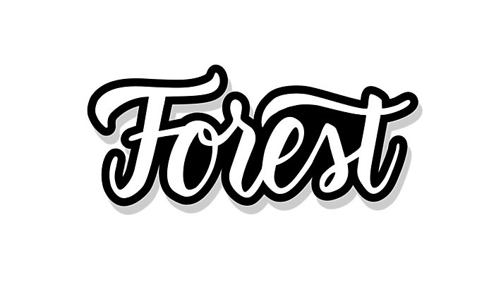 EPS 해외이미지 공원 스티커 일러스트 캘리그라피 텍스트 자연 타이포그라피 사람없음 사인 레이아웃 상록수 레터링 해외202004 해외일러스트 문자 공공시설 생태계 파일형식 벡터 이미지허브