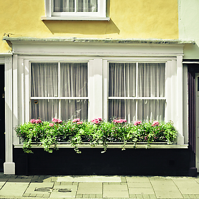 포토 JPG 해외이미지 식물 영어 외관 꽃 벽 분홍색 잎 2 창문 자연 유리 영국 잉글랜드 거리 주택 그림자 사람없음 야외 초록색 태양 바구니 정원 쌍 컨테이너 관목 시골집 원예 옛날 해외202004 해외포토 자연요소 나무 문자 유럽 산업 컬러 재질 취미 건물 생태계 파일형식 이미지허브