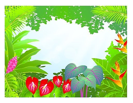 EPS 해외이미지 나무 식물 계절 꽃 야생동물 백그라운드 잎 일러스트 자연 아침 프레임 손바닥 풍경 야외 초록색 여름 파란색 빛 태양 환경 봄 숲 신비 열대우림 천국 내추럴 아마존 해외202004 해외일러스트 주간 자연요소 동물 손 컬러 컨셉 생태계 파일형식 벡터 이미지허브