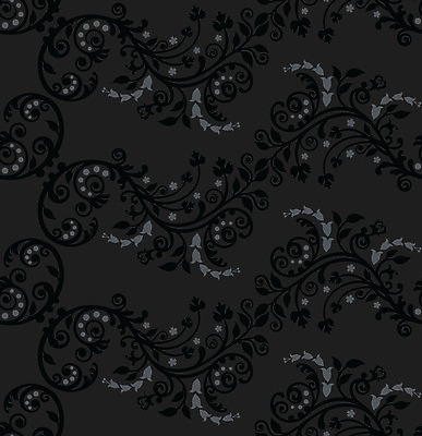 EPS 해외이미지 꽃 종이 벽 백그라운드 잎 꽃무늬 패턴 일러스트 자연 벽지 흑백 장식 검은색 어둠 놀람 봄 회색 수확 소용돌이 화려 개화 클래식 고급 우아함 은색 질감 복고 포도나무 구식 빅토리아 옛날 포장소품 회복 스타일 해외202004 해외일러스트 식물 계절 감정 컬러 컨셉 무늬 농업 포장 촬영기법 표정 회오리 과일나무 오브젝트 생태계 포장재료 파일형식 벡터 이미지허브