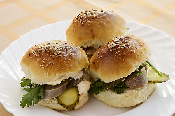 포토 JPG 해외이미지 접시 음식 빵 백그라운드 채소 오이 파슬리 샌드위치 육류 3 사람없음 반려동물 저녁식사 소고기 햄버거 흰색 신선 맛 큼 속도 소금 점심식사 세련 해외202004 해외포토 동물 식기 컬러 컨셉 식재료 패스트푸드 식사 크기 파일형식 이미지허브