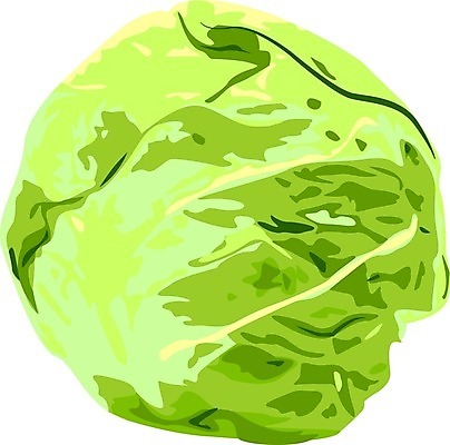 EPS 해외이미지 클립아트 식물 디자인 음식 백그라운드 컨셉 잎 농업 다이어트 채소 일러스트 재료 자연 건강 요리 초록색 여름 농장 머리 주방 정원 식사 샐러드 수확 흰색 신선 시장 먹기 오브젝트 그림 유기농 양배추 날것 내추럴 숙성 채식주의자 비건 해외202004 해외일러스트 웰빙 계절 산업 컬러 모션 신체부위 생태계 채식 파일형식 벡터 이미지허브