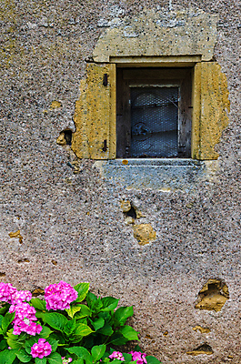 포토 JPG 해외이미지 식물 꽃 분홍색 창문 날씨 주택 사람없음 목재 초록색 노란색 그물 구멍 작음 만족 썩음 옛날 해외202004 해외포토 나무 감정 컬러 재료 건물 크기 파일형식 이미지허브