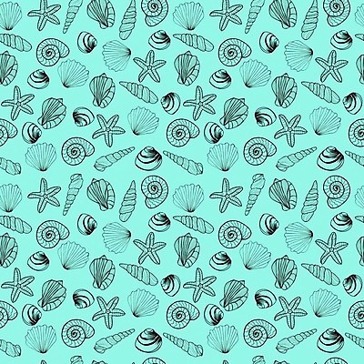 EPS 해외이미지 디자인 선 바다 여행 백그라운드 패턴 일러스트 자연 추상 휴가 조개 흑백 미술 그래픽 여름 검은색 껍질 흰색 스케치 수집 그림 질감 내추럴 해외202004 해외일러스트 계절 컬러 무늬 문화예술 어패류 촬영기법 생태계 파일형식 벡터 이미지허브