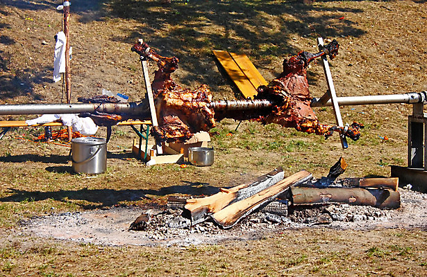 포토 JPG 해외이미지 음식 불 불꽃 육류 요리 사람없음 야외 목재 요리사 축제 소고기 소 꼬치 바비큐 굽기 벽난로 재 정육점 해외202004 해외포토 자연요소 나무 직업 식재료 재료 포유류 상점 구이 파일형식 이미지허브
