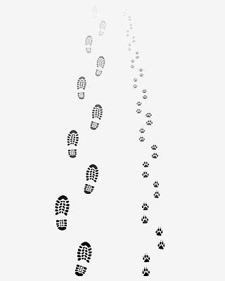EPS 해외이미지 동물 남자 실루엣 길 신발 2 일러스트 손가락 자국 사람 반려동물 산책 개 인쇄 발자국 심볼 윤곽 발가락 우표 단계 내추럴 고립 선로 양발 자취 각인 해외202004 해외일러스트 손 포유류 발 휴식 촬영기법 파일형식 벡터 이미지허브