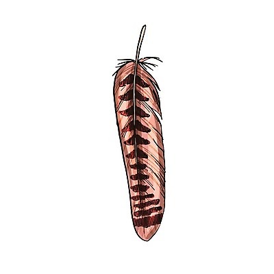 EPS 해외이미지 1 줄기 백그라운드 날개 일러스트 자연 조류 추상 장식 빛 컬러풀 흰색 닫기 매끈함 수집 심볼 순수 깃털 묘사 오브젝트 싱글 질감 앵무새 부드러움 솜털 내추럴 고립 깃털펜 단아함 해외202004 해외일러스트 식물 동물 컬러 컨셉 무늬 모션 펜 감각 생태계 파일형식 벡터 필기구 문구용품 이미지허브
