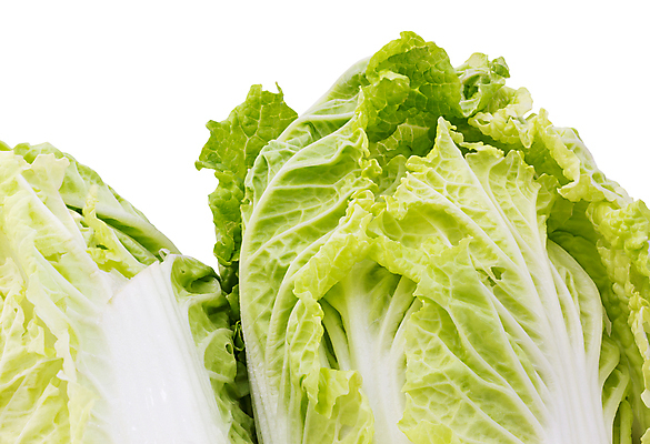 포토 JPG 해외이미지 잡화 음식 잎 채소 재료 자연 건강 사람없음 초록색 샐러드 흰색 유기농 날것 고립 해외202004 해외포토 식물 웰빙 컬러 생태계 파일형식 이미지허브