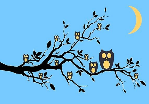 EPS 해외이미지 나무 동물 실루엣 야생동물 백그라운드 잎 날개 일러스트 자연 조류 하늘 앉기 달 나뭇가지 야간 만화 달빛 귀 부엉이 해외202004 해외일러스트 자연요소 식물 모션 촬영기법 신체부위 생태계 파일형식 벡터 이미지허브