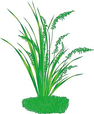 EPS 해외이미지 식물 디자인 계절 실루엣 줄기 백그라운드 꽃무늬 밭 농업 일러스트 자연 씨앗 풍경 초록색 여름 농작물 농장 수확 가을 흰색 시골 낟알 다발 심볼 그림 유기농 귀 내추럴 엘리먼트 호밀 해외202004 해외일러스트 웰빙 꽃 산업 컬러 무늬 곡류 촬영기법 신체부위 생태계 파일형식 벡터 이미지허브