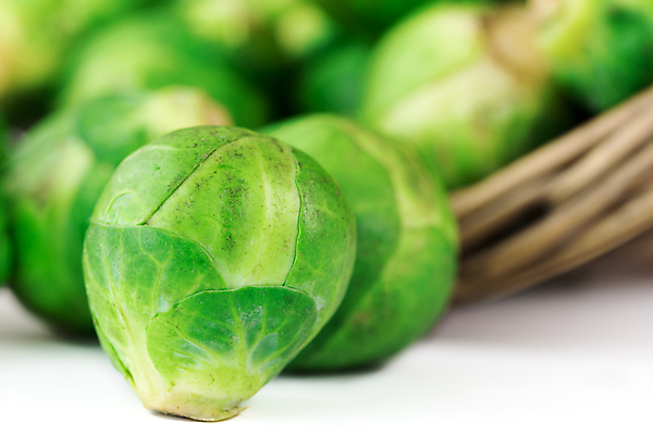 포토 JPG 해외이미지 음식 다이어트 채소 재료 건강 요리 사람없음 초록색 바구니 새싹 흰색 신선 시장 먹기 허브 양배추 날것 고립 브뤼셀 채식주의자 해외202004 해외포토 식물 컬러 모션 채식 파일형식 이미지허브