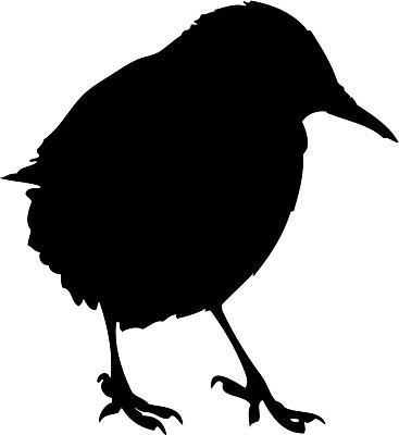 EPS 해외이미지 동물 실루엣 야생동물 일러스트 조류 그림자 검은색 해외202004 해외일러스트 컬러 촬영기법 파일형식 벡터 이미지허브