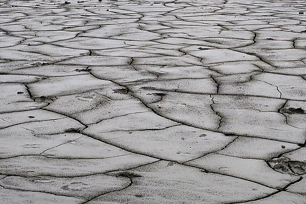 포토 JPG 해외이미지 지구 백그라운드 컨셉 패턴 자연 표면 날씨 추상 건조 사람없음 야외 여름 글로벌 갈색 환경 맑음 흙 손상 사막 죽음 뜨거움 거친 균열 땅 질감 먼지 모자이크 점토 지역 진흙 가뭄 다리찢기 내추럴 깨짐 땅바닥 재앙 지질학 해외202004 해외포토 계절 교육 컬러 무늬 모션 바닥 생태계 파일형식 이미지허브
