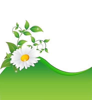 EPS 해외이미지 나무 식물 배너 계절 종이 잎 꽃무늬 일러스트 자연 추상 건강 지구본 라벨 환경 웹 재활용 행성 성장 신선 보호 인쇄 에코 친환경 유기농 생태계 지구온난화 소매 승진 내추럴 혁명 기부금 돌봄 발명 생태학 효율 해외202004 해외일러스트 웰빙 교육 꽃 컨셉 무늬 인터넷 모션 프레임 우주 기부 기후변화 파일형식 벡터 이미지허브