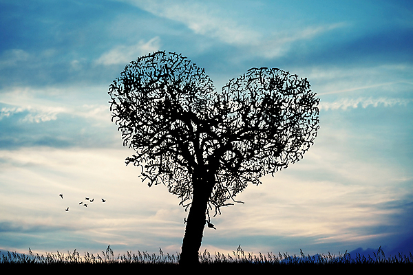 JPG 해외이미지 모양 나무 식물 계절 컨셉 잎 일러스트 자연 조류 추상 발렌타인데이 사랑 사람없음 야외 일몰 나뭇가지 심볼 엽서 해외202004 해외포토 포토 동물 감정 무늬 데이이벤트 노을 편지 생태계 파일형식 이미지허브