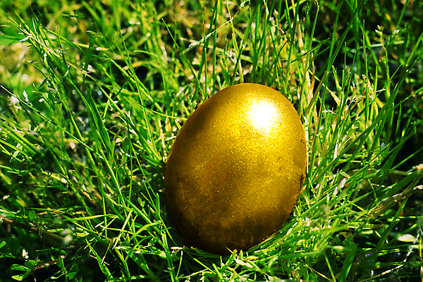 포토 JPG 해외이미지 식물 전통 디자인 계절 꽃무늬 밭 자연 휴가 부활절 이벤트 사람없음 야외 장식 초록색 컬러풀 햇빛 노란색 계란 축제 봄 신선 황금 시원함 심볼 해외202004 해외포토 기념일 꽃 컬러 무늬 농업 태양 알 생태계 파일형식 이미지허브