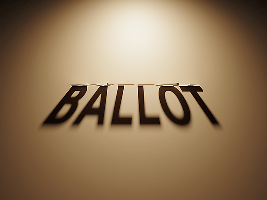 포토 JPG 해외이미지 일러스트 그림자 사람없음 3D 미국 투표 최초 대통령 정치 해외202004 해외포토 북아메리카 선거 디지털합성 파일형식 이미지허브