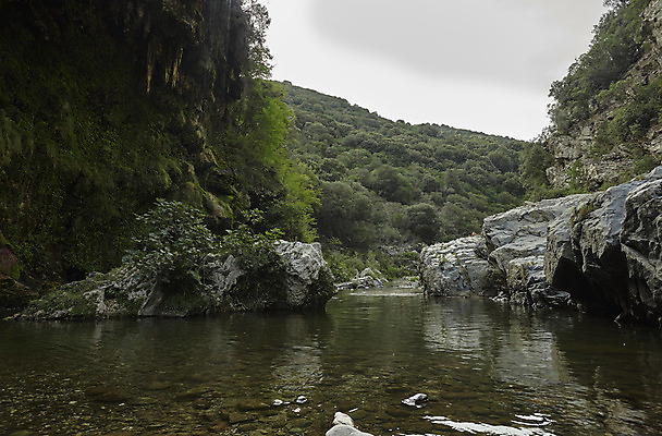 포토 JPG 해외이미지 나무 호수 모래 자연 산 풍경 사람없음 물 여름 관광지 강 봄 이탈리아 흐름 달콤 암초 아이비 내추럴 해외202004 해외포토 자연요소 식물 계절 유럽 여행 컨셉 맛 생태계 파일형식 이미지허브
