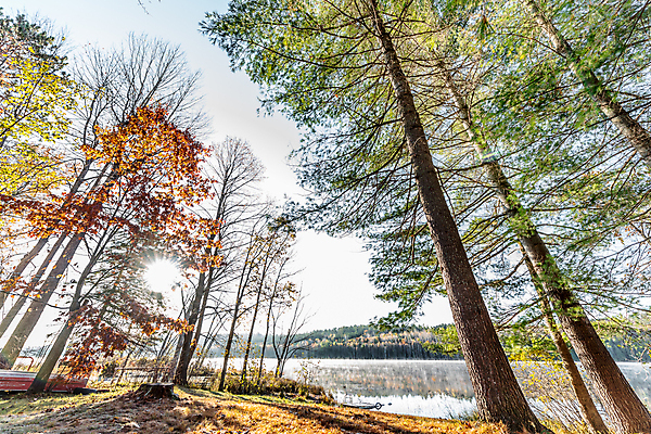 포토 JPG 해외이미지 나무 계절 호수 캐나다 자연 하늘 아침 사람없음 야외 물 햇빛 반사 평화 맑음 안개 가을 신선 소나무 황무지 숲 속도 내추럴 해외202004 해외포토 주간 자연요소 식물 컨셉 북아메리카 날씨 태양 생태계 파일형식 이미지허브