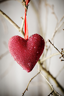 포토 JPG 해외이미지 모양 백그라운드 컨셉 발렌타인데이 사랑 사람없음 장식 빨간색 하트 마음 축하 해외202004 해외포토 감정 컬러 데이이벤트 파일형식 이미지허브