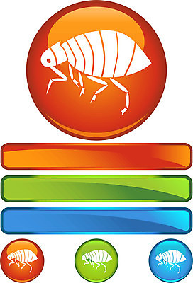 EPS 해외이미지 동물 곤충 일러스트 반려동물 고양이 흰색 개 벌레 토막 기생충 고립 해외202004 해외일러스트 컬러 포유류 바이러스 파일형식 벡터 이미지허브