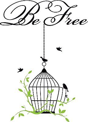 EPS 해외이미지 나무 동물 실루엣 백그라운드 컨셉 잎 꽃무늬 날개 일러스트 텍스트 자연 조류 주택 프레임 타이포그라피 그래픽 단어 반려동물 문 검은색 자유 소용돌이 흰색 나뭇가지 오픈 편지 그림 철사 새장 타입 리빙 고립 대본 무료 해외202004 해외일러스트 식물 문자 꽃 컬러 무늬 촬영기법 건물 회오리 생태계 케이지 파일형식 벡터 이미지허브