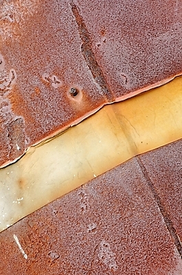 포토 JPG 해외이미지 템플릿 접시 디자인 산업 벽 백그라운드 패턴 오렌지 일러스트 벽지 표면 날씨 추상 바닥 프레임 미술 사람없음 내부 목재 빨간색 파란색 갈색 우주 금속 페인트 손상 수확 골동품 도시 철 묘사 부식 질감 복고 시트 골절 그런지 옛날 철강 해외202004 해외포토 나무 식기 컬러 컨셉 무늬 농업 과일 재료 의학 재질 문화예술 파일형식 이미지허브