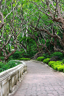 포토 JPG 해외이미지 나무 식물 공원 길 백그라운드 잎 자연 풍경 사람없음 야외 초록색 환경 정원 산책 나뭇가지 오솔길 내추럴 땅바닥 방법 해외202004 해외포토 공공시설 컬러 휴식 바닥 생태계 파일형식 이미지허브