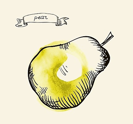 EPS 해외이미지 식물 손 디자인 종이 선 음식 백그라운드 농업 다이어트 과일 일러스트 자연 수채화 건강 미술 그래픽 장식 초록색 여름 농장 정원 검은색 수확 흰색 신선 신용카드 그리기 달콤 맛 스케치 그림 유기농 복고 손그림 점심식사 바이오 숙성 옛날 해외202004 해외일러스트 웰빙 계절 산업 컬러 컨셉 모션 문화예술 신체부위 금융 식사 생태계 파일형식 벡터 이미지허브