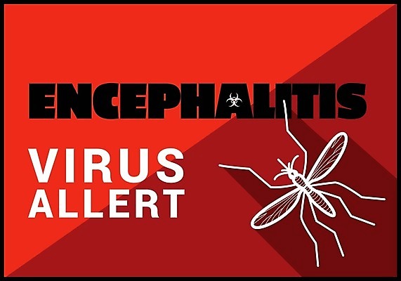 EPS 해외이미지 디자인 컨셉 절지류 일러스트 경고 그래픽 빨간색 펼침 긴급 바이러스 질병 위험 심볼 사인 그림 예방 생물학 감염 전염 반대 찌르기 기생충 경보 고립 모기 부담 전염병 해외202004 해외일러스트 동물 교육 컬러 의학 모션 해충 파일형식 벡터 이미지허브