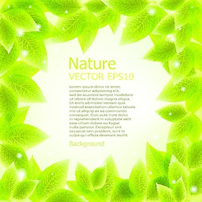 EPS 해외이미지 나무 배너 계절 백그라운드 잎 꽃무늬 일러스트 자연 추상 새로움 프레임 건강 사람없음 야외 장식 초록색 여름 우주 환경 정원 봄 공백 수확 덮개 흰색 나뭇가지 신선 신용카드 보호 숲 심볼 순수 질감 고립 블러 해외202004 해외일러스트 식물 꽃 컬러 컨셉 무늬 농업 금융 뚜껑 생태계 파일형식 벡터 이미지허브
