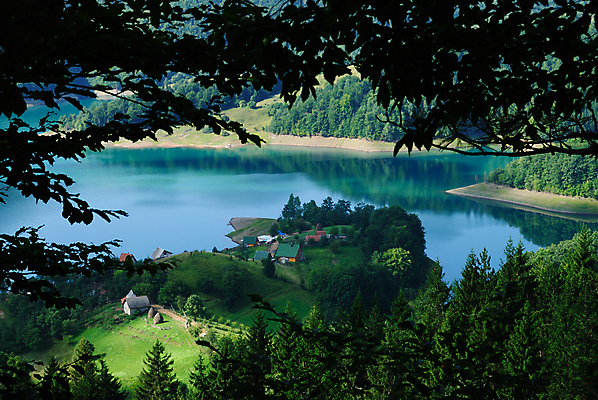 포토 JPG 해외이미지 나무 계절 여행 잎 밭 농업 낚시 휴가 산 주택 풍경 사람없음 야외 물 여름 농장 걷기 마을 계곡 침묵 고요 봄 산책 시골 숲 언덕 장면 내추럴 해외202004 해외포토 자연요소 식물 산업 모션 레저 휴식 건물 소리 파일형식 이미지허브