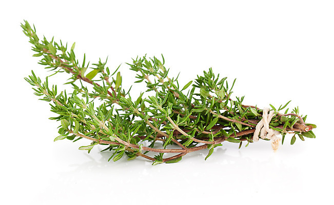 포토 JPG 해외이미지 식물 밧줄 줄 음식 줄기 잎 채소 재료 자연 건강 그림자 사람없음 초록색 약 정원 흰색 나뭇가지 신선 조미료 그룹 자르기 다발 허브 향신료 오브젝트 보따리 유기농 빨래집게 고립 백리향 세이지 채식주의자 해외202004 해외포토 나무 웰빙 컬러 의학 모션 집게 생태계 채식 향미료 파일형식 이미지허브