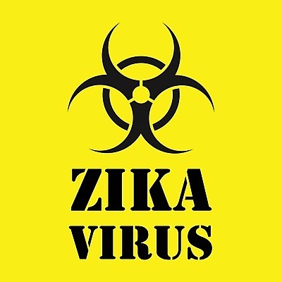 EPS 해외이미지 실루엣 일러스트 건강 경고 컴퓨터 노란색 흰색 바이러스 질병 위험 심볼 사인 감염 해커 경보 고립 모기 전염병 해외202004 해외일러스트 컬러 컨셉 의학 촬영기법 전자제품 범죄 해충 파일형식 벡터 이미지허브