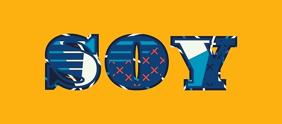 EPS 해외이미지 식물 음식 컨셉 농업 채소 일러스트 재료 자연 콩 아이디어 건강 미술 씨앗 타이포그라피 단어 낟알 먹기 유기농 날것 섬유 단백질 대두 유전자변형 채식주의자 테마 비건 해외202004 해외일러스트 문자 웰빙 산업 모션 문화예술 곡류 직물 생태계 채식 영양소 파일형식 벡터 이미지허브