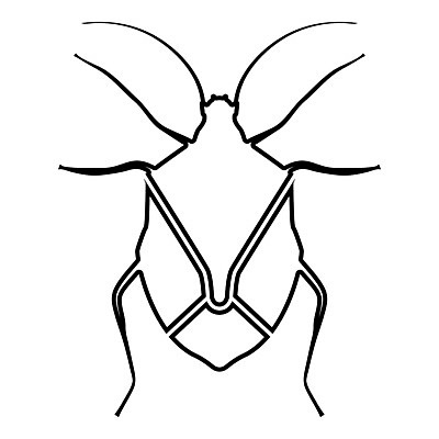 EPS 해외이미지 실루엣 곤충 컨셉 날개 일러스트 검은색 해충 벌레 질병 작음 딱정벌레 사인 냄새 윤곽 감염 악취 찌르기 기생충 기어가기 고립 동물상 진실 해외202004 해외일러스트 동물 컬러 의학 모션 촬영기법 조형물 바이러스 크기 파일형식 벡터 이미지허브