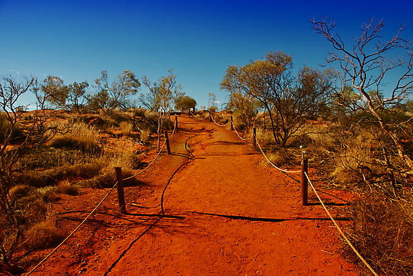 포토 JPG 해외이미지 나무 식물 실루엣 모래 여행 오렌지 자연 하늘 휴가 건조 풍경 사람없음 야외 빨간색 초록색 여름 파란색 컬러풀 태양 여행객 환경 봄 사막 뜨거움 황무지 호주 아래 언덕 영토 먼지 북쪽 고립 오지 수평선 해외202004 해외포토 자연요소 계절 컬러 과일 촬영기법 사람 오세아니아 방향 생태계 위치 파일형식 이미지허브