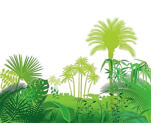 EPS 해외이미지 나무 식물 템플릿 디자인 계절 백그라운드 잎 지도 꽃무늬 일러스트 자연 손바닥 장식 초록색 여름 정원 나뭇가지 신선 숲 열대우림 대나무 하와이 모음 내추럴 이국적 해외202004 해외일러스트 손 꽃 컬러 무늬 미국 생태계 파일형식 벡터 이미지허브