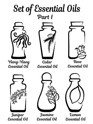 EPS 해외이미지 나무 식물 웰빙 디자인 꽃 잎 과일 일러스트 자연 유리 건강 치료 초록색 세트 장미 라벨 스파 나뭇가지 신선 마사지 액체 상품 레몬 허브 심볼 향수 플라스크 명상 사인 유기농 아로마 아로마테라피 테라피 고립 돌봄 삼나무 향나무 해외202004 해외일러스트 컬러 의학 모션 재질 프레임 실험기구 뷰티 화장품 생태계 파일형식 벡터 이미지허브