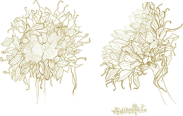 EPS 해외이미지 식물 계절 꽃 야생동물 백그라운드 패턴 일러스트 자연 해바라기 잉크 흑백 그래픽 장식 세트 펜 정원 가을 흰색 나뭇가지 황금 인쇄 스케치 수집 그림 생물학 판화 옛날 핸드메이드 해외202004 해외일러스트 나무 동물 교육 컬러 무늬 촬영기법 미술 필기구 생태계 파일형식 벡터 이미지허브