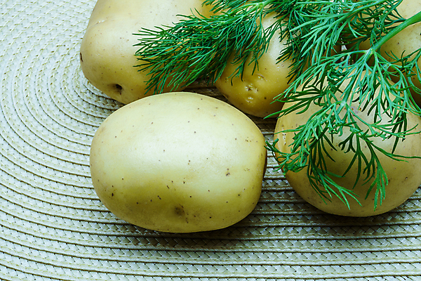 포토 JPG 해외이미지 웰빙 채소 감자 실내 사람없음 신선 허브 유기농 파란배경 딜 해외202004 해외포토 식물 백그라운드 내부 파란색 파일형식 이미지허브